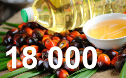 Palm oil and palm kernel oil